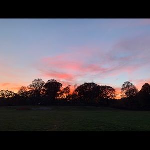 Meet your Posher, Allison